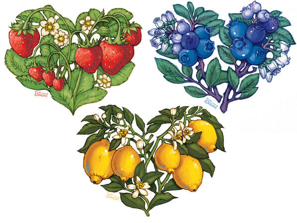 Three different keychain designs.