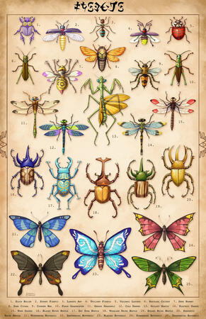 An entomological poster created of all of the insects from Breath of the Wild. Finished in 2021.